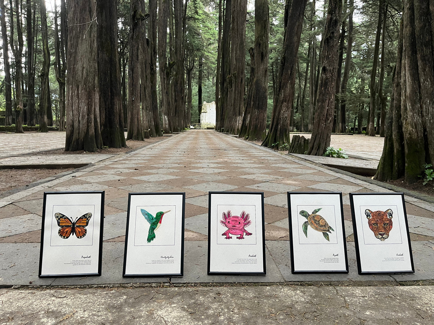Ba´alché Collection Ready to gift